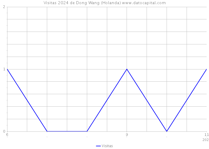 Visitas 2024 de Dong Wang (Holanda) 