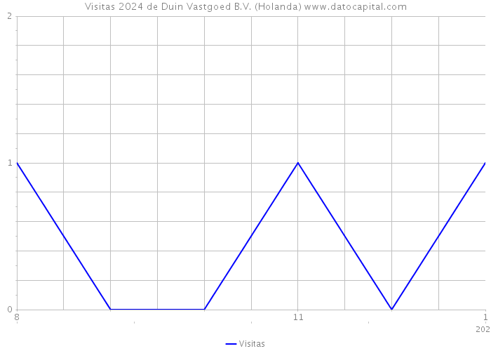 Visitas 2024 de Duin Vastgoed B.V. (Holanda) 