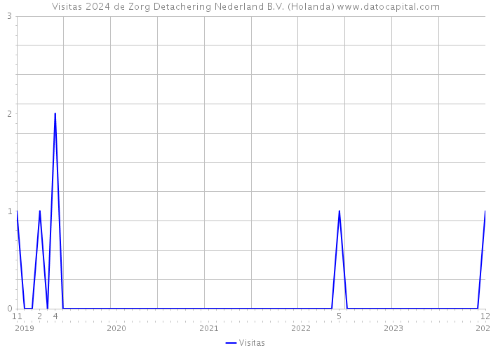 Visitas 2024 de Zorg Detachering Nederland B.V. (Holanda) 