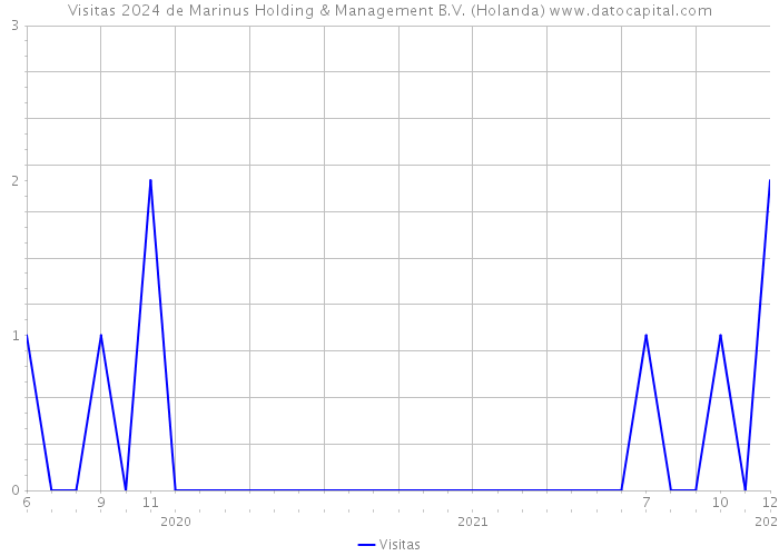 Visitas 2024 de Marinus Holding & Management B.V. (Holanda) 