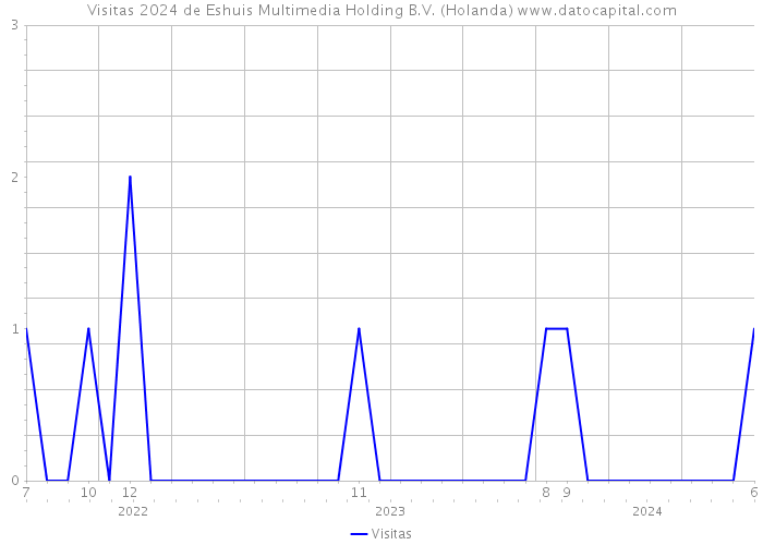 Visitas 2024 de Eshuis Multimedia Holding B.V. (Holanda) 