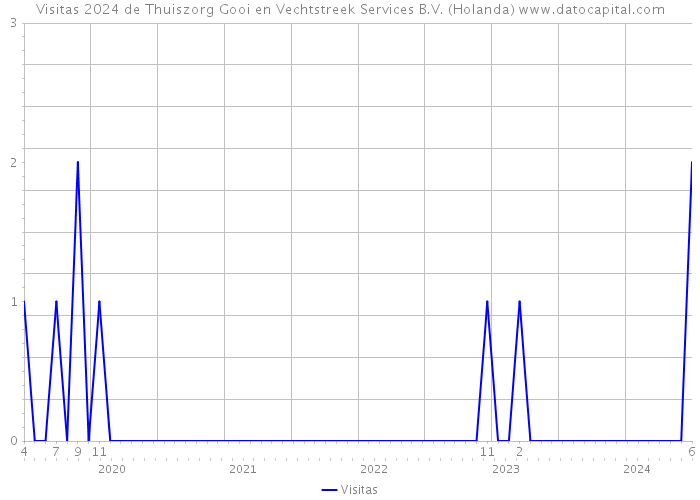 Visitas 2024 de Thuiszorg Gooi en Vechtstreek Services B.V. (Holanda) 