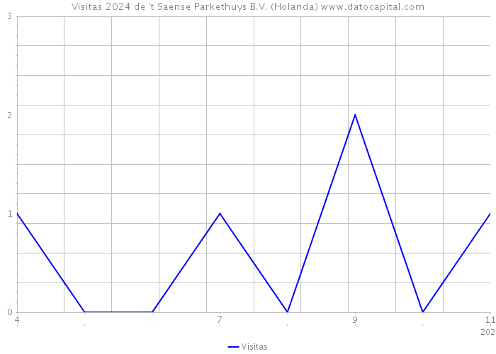 Visitas 2024 de 't Saense Parkethuys B.V. (Holanda) 