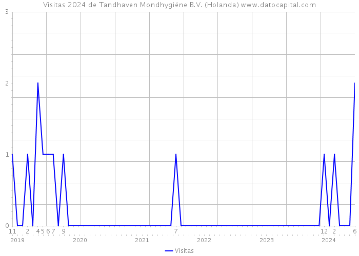 Visitas 2024 de Tandhaven Mondhygiëne B.V. (Holanda) 