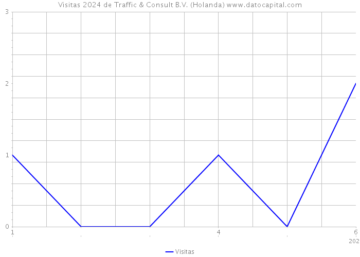 Visitas 2024 de Traffic & Consult B.V. (Holanda) 