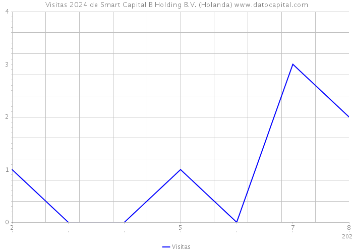 Visitas 2024 de Smart Capital B Holding B.V. (Holanda) 