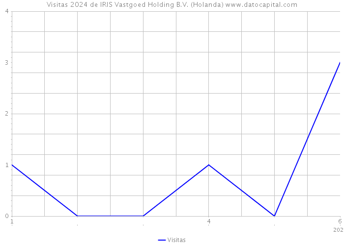 Visitas 2024 de IRIS Vastgoed Holding B.V. (Holanda) 