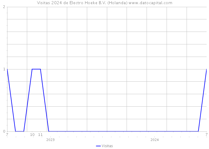 Visitas 2024 de Electro Hoeke B.V. (Holanda) 