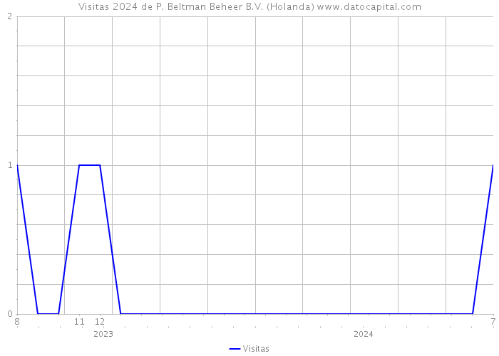 Visitas 2024 de P. Beltman Beheer B.V. (Holanda) 