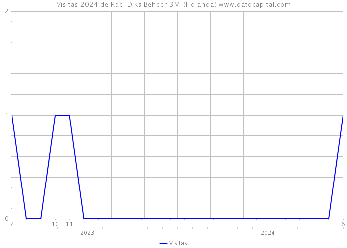 Visitas 2024 de Roel Diks Beheer B.V. (Holanda) 