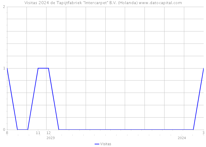 Visitas 2024 de Tapijtfabriek 