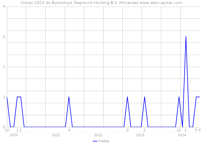 Visitas 2024 de Buitenhuis Staphorst Holding B.V. (Holanda) 