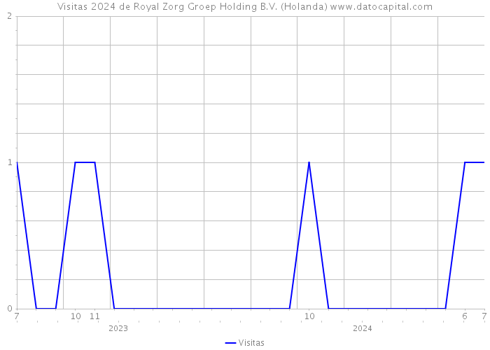 Visitas 2024 de Royal Zorg Groep Holding B.V. (Holanda) 