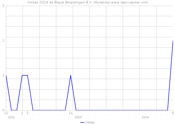 Visitas 2024 de Blauw Belastingen B.V. (Holanda) 