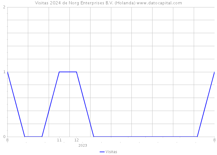 Visitas 2024 de Norg Enterprises B.V. (Holanda) 