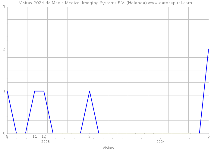 Visitas 2024 de Medis Medical Imaging Systems B.V. (Holanda) 