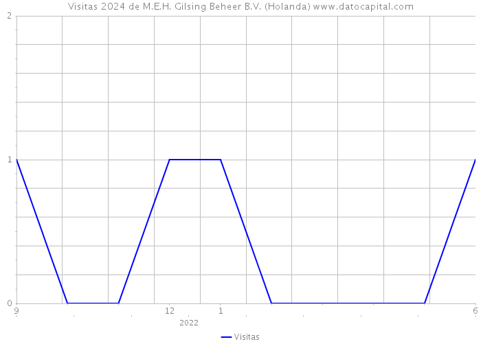 Visitas 2024 de M.E.H. Gilsing Beheer B.V. (Holanda) 