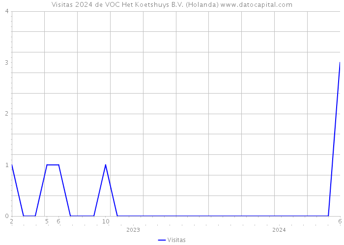 Visitas 2024 de VOC Het Koetshuys B.V. (Holanda) 