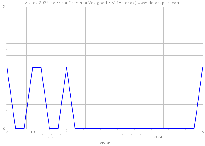 Visitas 2024 de Frisia Groninga Vastgoed B.V. (Holanda) 