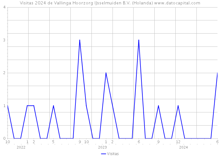 Visitas 2024 de Vallinga Hoorzorg IJsselmuiden B.V. (Holanda) 