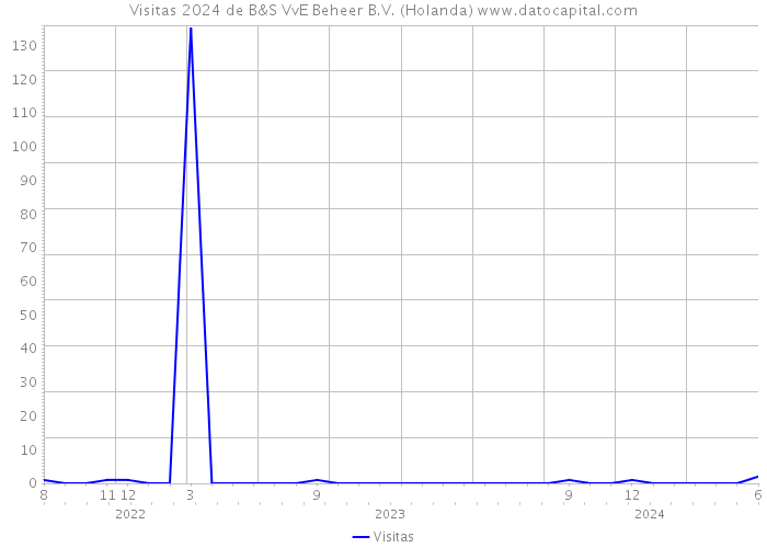 Visitas 2024 de B&S VvE Beheer B.V. (Holanda) 