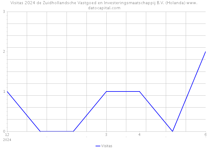 Visitas 2024 de Zuidhollandsche Vastgoed en Investeringsmaatschappij B.V. (Holanda) 