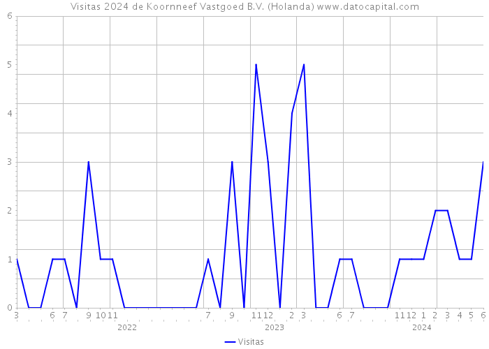 Visitas 2024 de Koornneef Vastgoed B.V. (Holanda) 