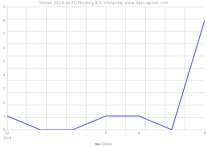 Visitas 2024 de FG Holding B.V. (Holanda) 