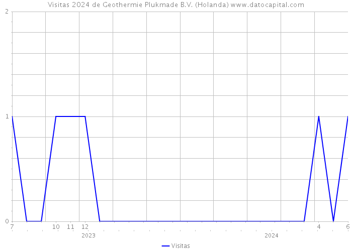 Visitas 2024 de Geothermie Plukmade B.V. (Holanda) 