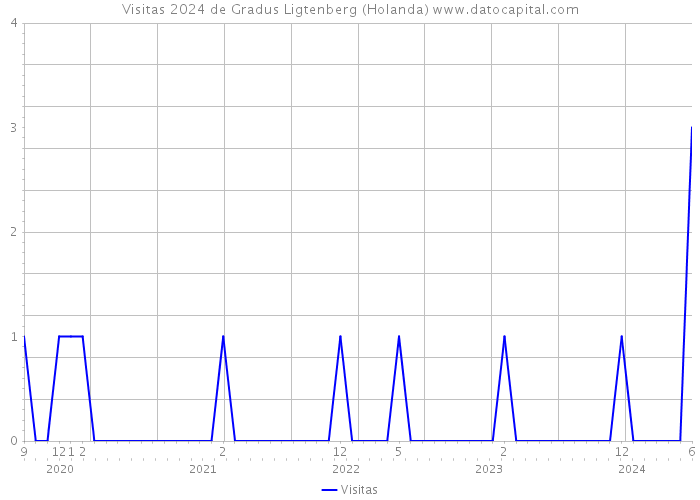 Visitas 2024 de Gradus Ligtenberg (Holanda) 