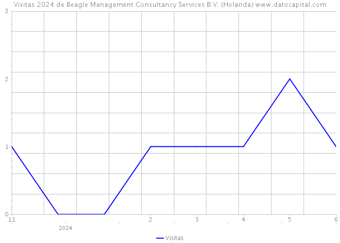Visitas 2024 de Beagle Management Consultancy Services B.V. (Holanda) 