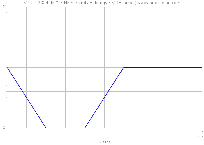 Visitas 2024 de YPF Netherlands Holdings B.V. (Holanda) 