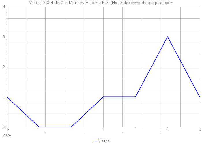 Visitas 2024 de Gas Monkey Holding B.V. (Holanda) 