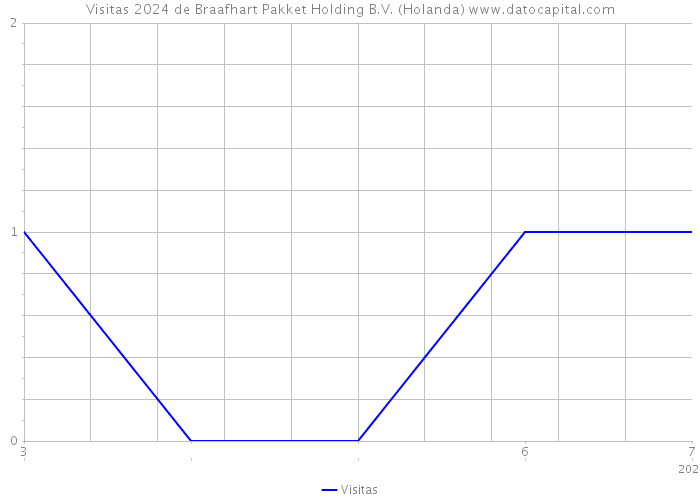 Visitas 2024 de Braafhart Pakket Holding B.V. (Holanda) 