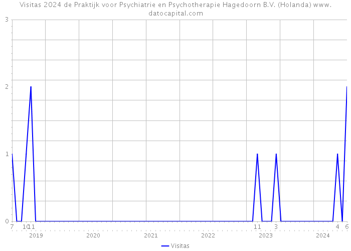 Visitas 2024 de Praktijk voor Psychiatrie en Psychotherapie Hagedoorn B.V. (Holanda) 
