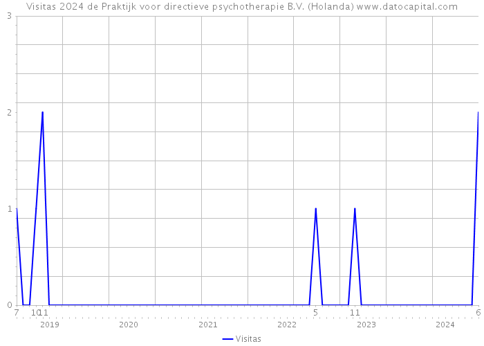 Visitas 2024 de Praktijk voor directieve psychotherapie B.V. (Holanda) 