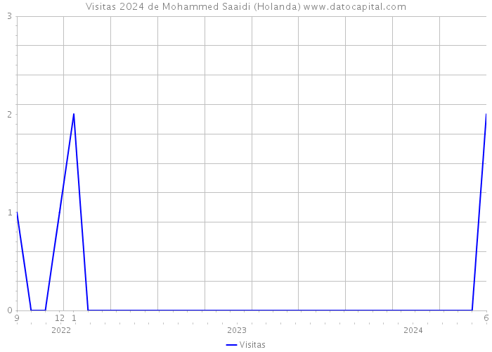 Visitas 2024 de Mohammed Saaidi (Holanda) 