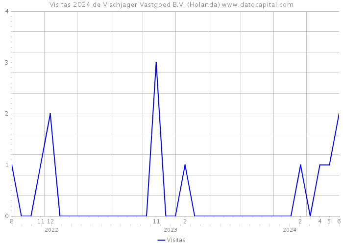 Visitas 2024 de Vischjager Vastgoed B.V. (Holanda) 