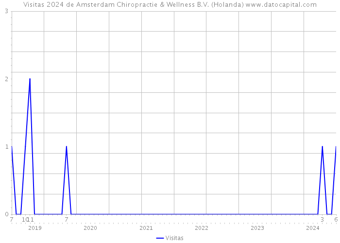Visitas 2024 de Amsterdam Chiropractie & Wellness B.V. (Holanda) 