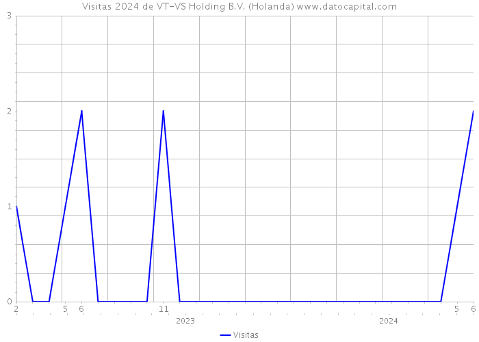 Visitas 2024 de VT-VS Holding B.V. (Holanda) 