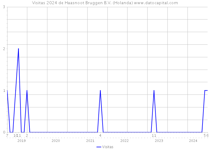 Visitas 2024 de Haasnoot Bruggen B.V. (Holanda) 