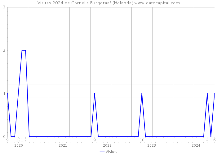 Visitas 2024 de Cornelis Burggraaf (Holanda) 