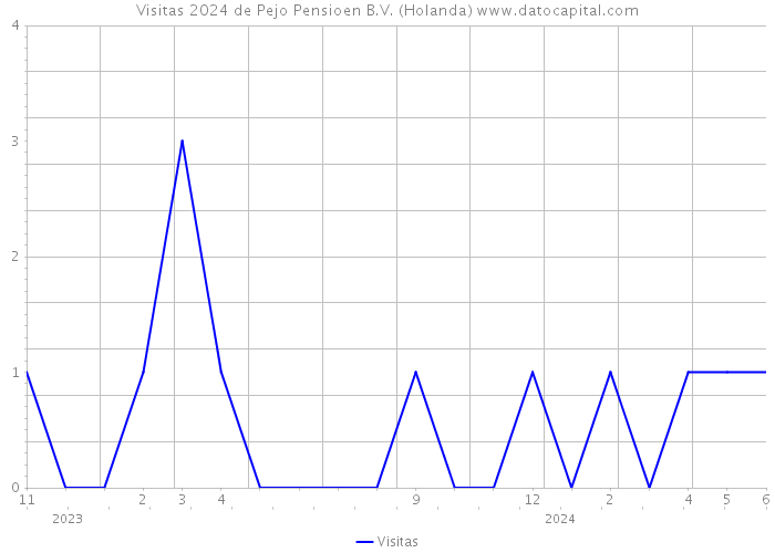 Visitas 2024 de Pejo Pensioen B.V. (Holanda) 