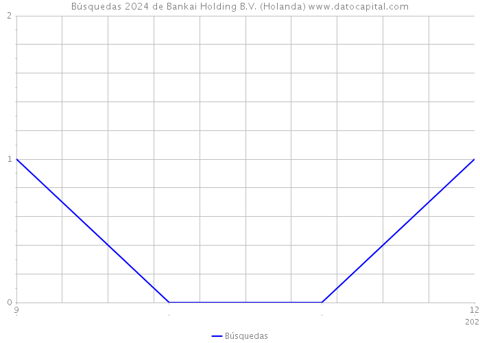 Búsquedas 2024 de Bankai Holding B.V. (Holanda) 