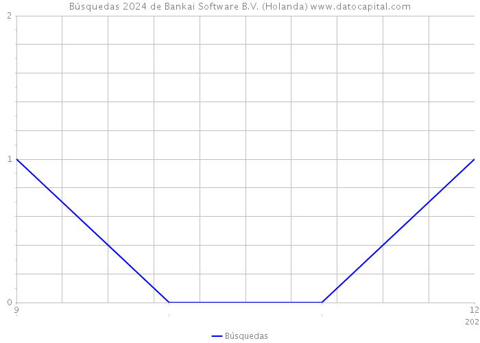 Búsquedas 2024 de Bankai Software B.V. (Holanda) 