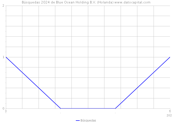 Búsquedas 2024 de Blue Ocean Holding B.V. (Holanda) 