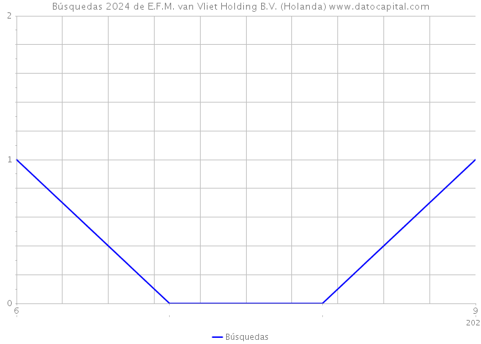 Búsquedas 2024 de E.F.M. van Vliet Holding B.V. (Holanda) 