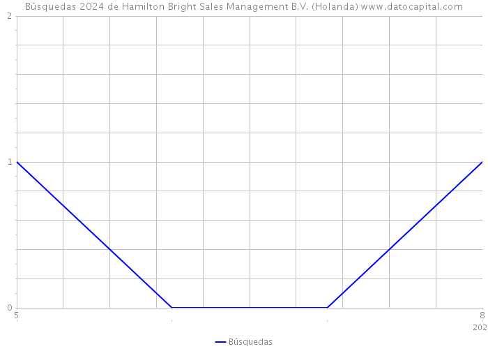 Búsquedas 2024 de Hamilton Bright Sales Management B.V. (Holanda) 