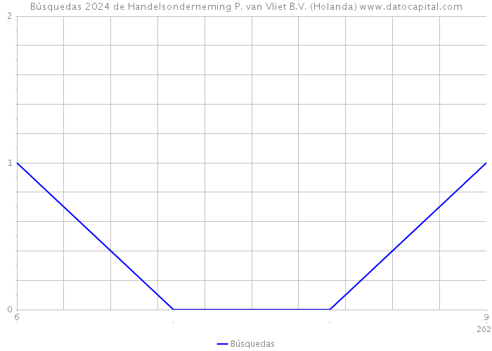 Búsquedas 2024 de Handelsonderneming P. van Vliet B.V. (Holanda) 