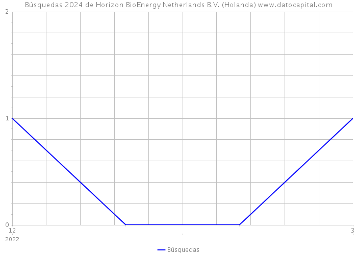 Búsquedas 2024 de Horizon BioEnergy Netherlands B.V. (Holanda) 